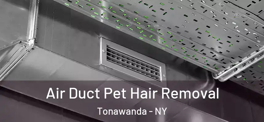 Air Duct Pet Hair Removal Tonawanda - NY