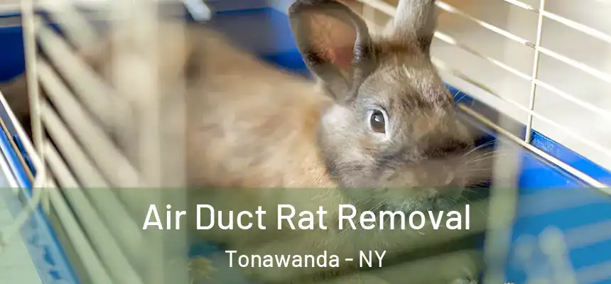 Air Duct Rat Removal Tonawanda - NY