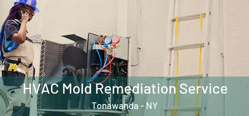HVAC Mold Remediation Service Tonawanda - NY