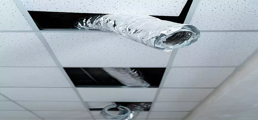 Our Air Duct Pet Hair Removal Services in Tonawanda, NY