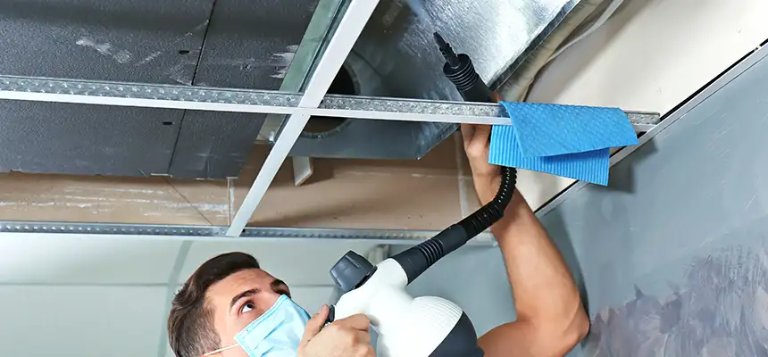 Our Air Duct Rodent Removal Services in Tonawanda, NY