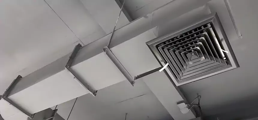 Our Pest Removal From Ducts Services in Tonawanda, NY