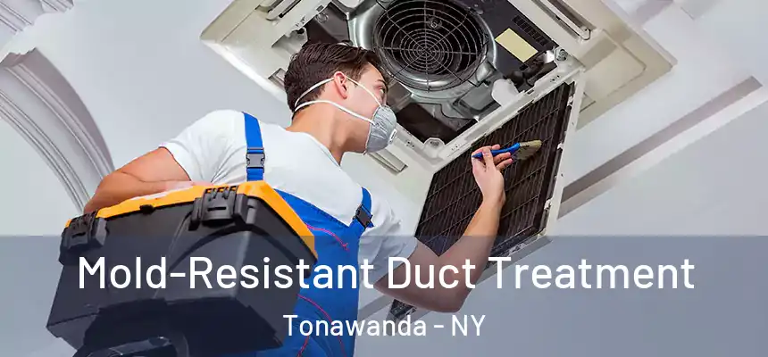 Mold-Resistant Duct Treatment Tonawanda - NY