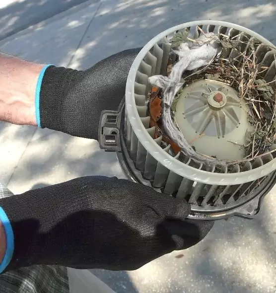 About Air Duct Mice Removal in Tonawanda, NY